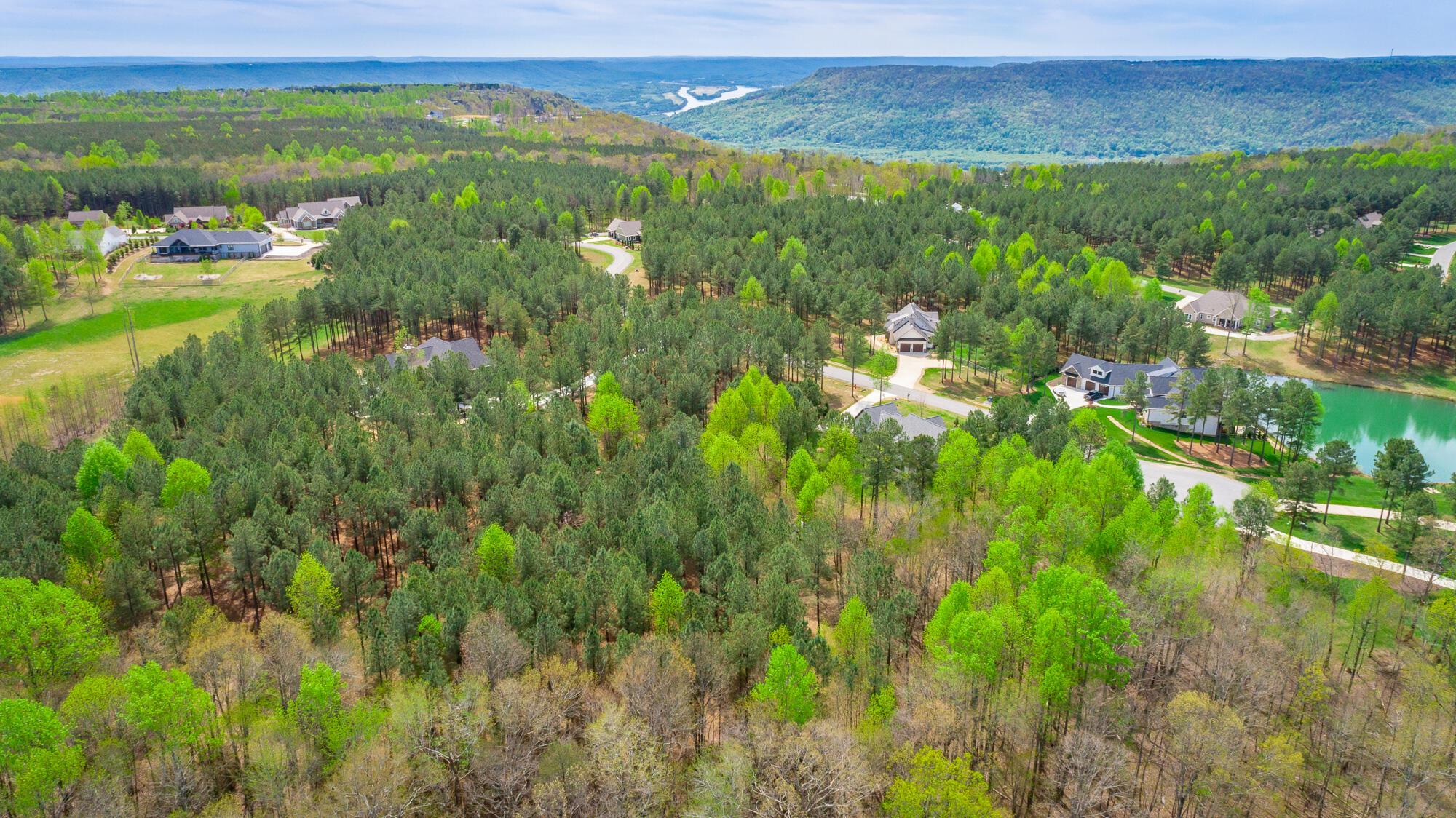 300 Deer Ridge Point, Unit SV190 Jasper, TN 37347 - Photo 25 of 70 300 Deer Ridge Pointe Lot JH190 HD-28