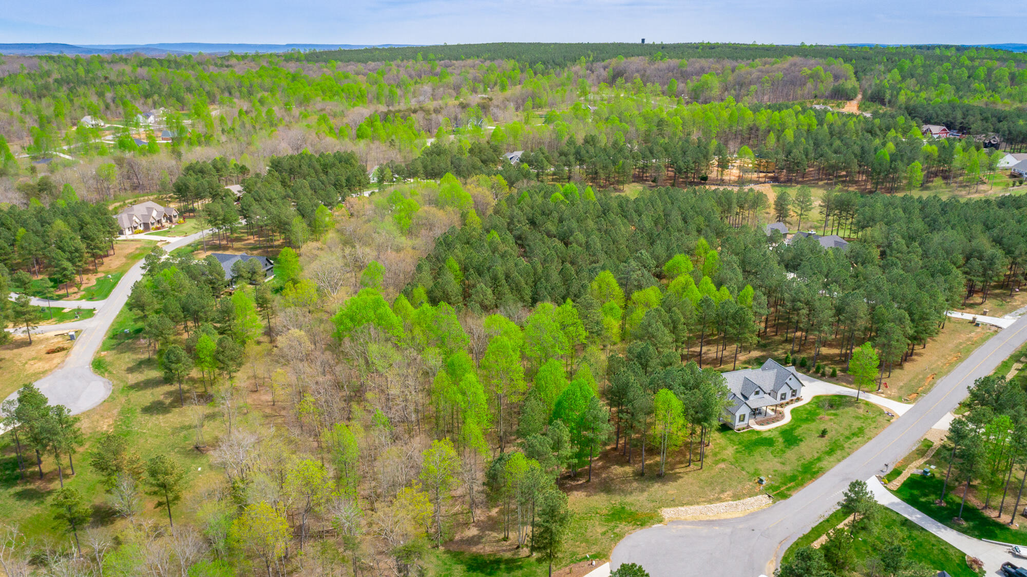 300 Deer Ridge Point, Unit SV190 Jasper, TN 37347 - Photo 32 of 70 300 Deer Ridge Pointe Lot JH190 HD-35