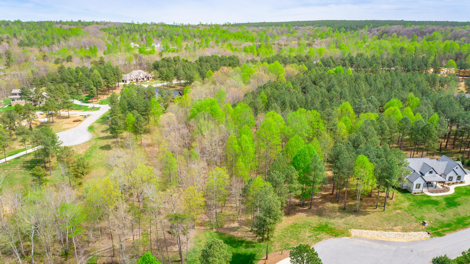 300 Deer Ridge Point, Unit SV190 Jasper, TN 37347 - Photo 33 of 70 300 Deer Ridge Pointe Lot JH190 HD-36