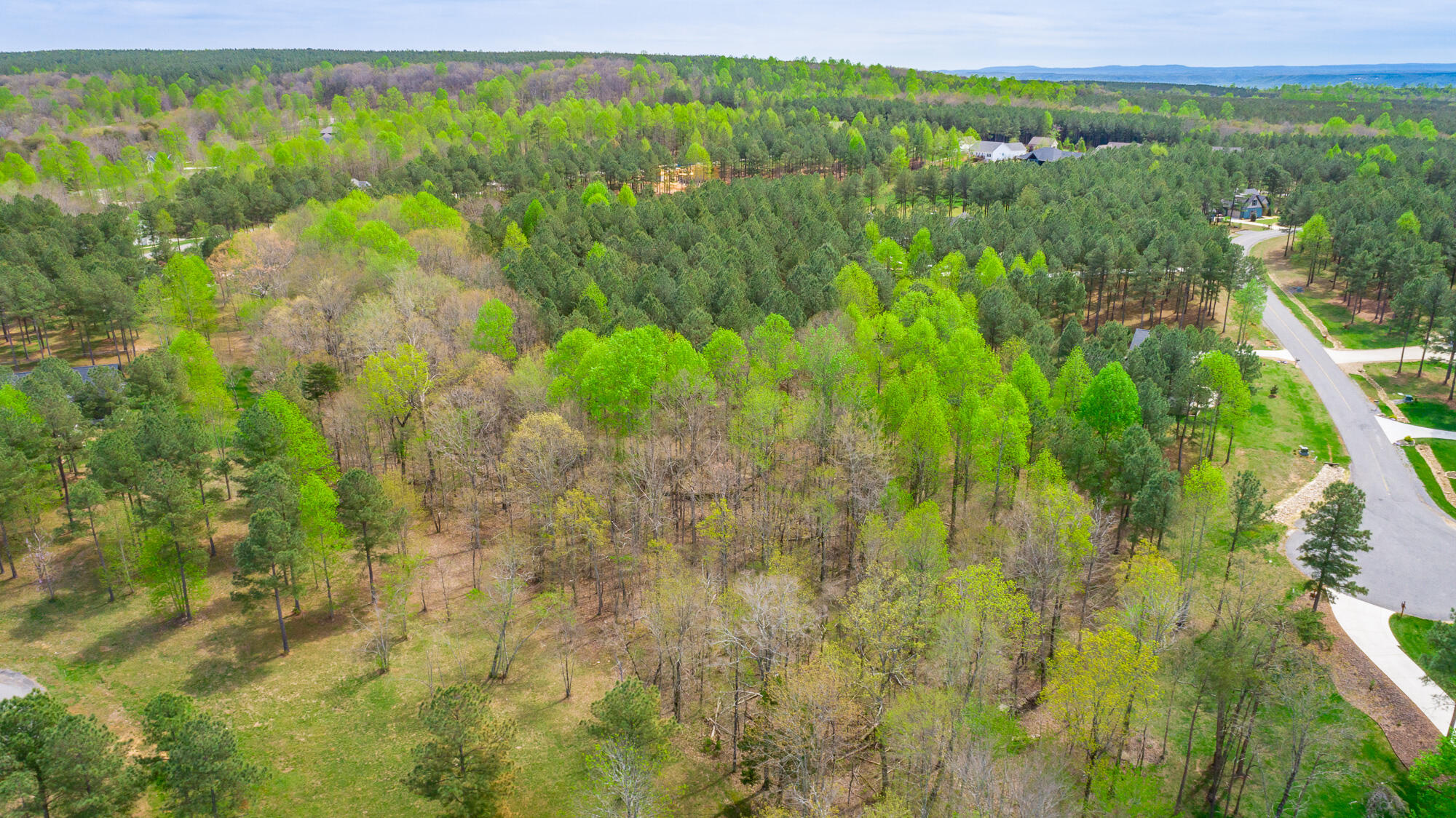 300 Deer Ridge Point, Unit SV190 Jasper, TN 37347 - Photo 34 of 70 300 Deer Ridge Pointe Lot JH190 HD-37