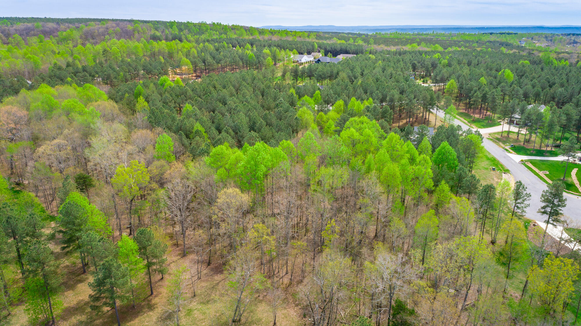 300 Deer Ridge Point, Unit SV190 Jasper, TN 37347 - Photo 35 of 70 300 Deer Ridge Pointe Lot JH190 HD-38