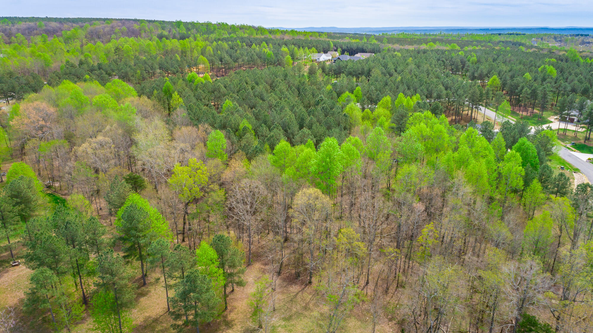 300 Deer Ridge Point, Unit SV190 Jasper, TN 37347 - Photo 36 of 70 300 Deer Ridge Pointe Lot JH190 HD-39