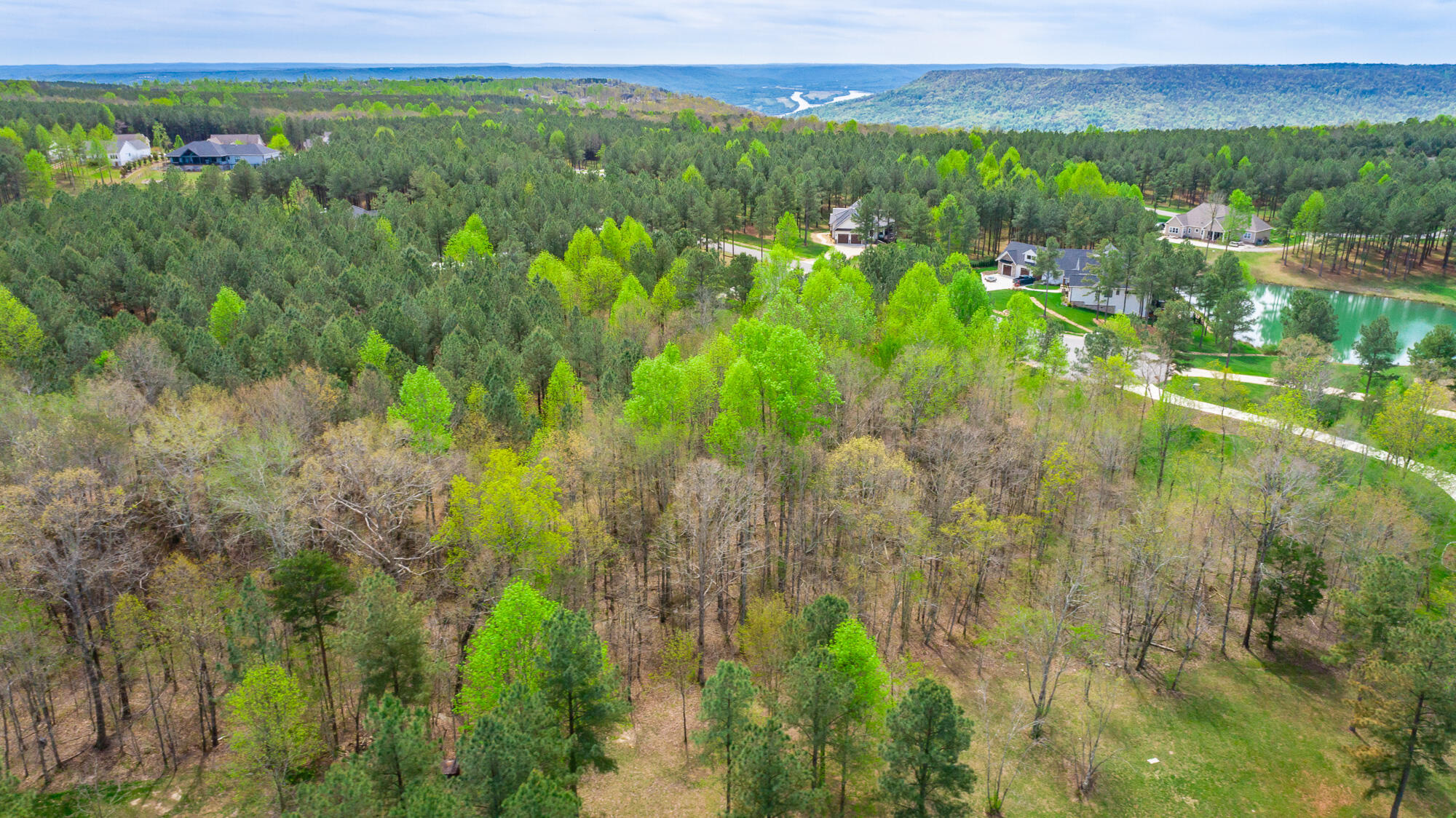 300 Deer Ridge Point, Unit SV190 Jasper, TN 37347 - Photo 37 of 70 300 Deer Ridge Pointe Lot JH190 HD-40
