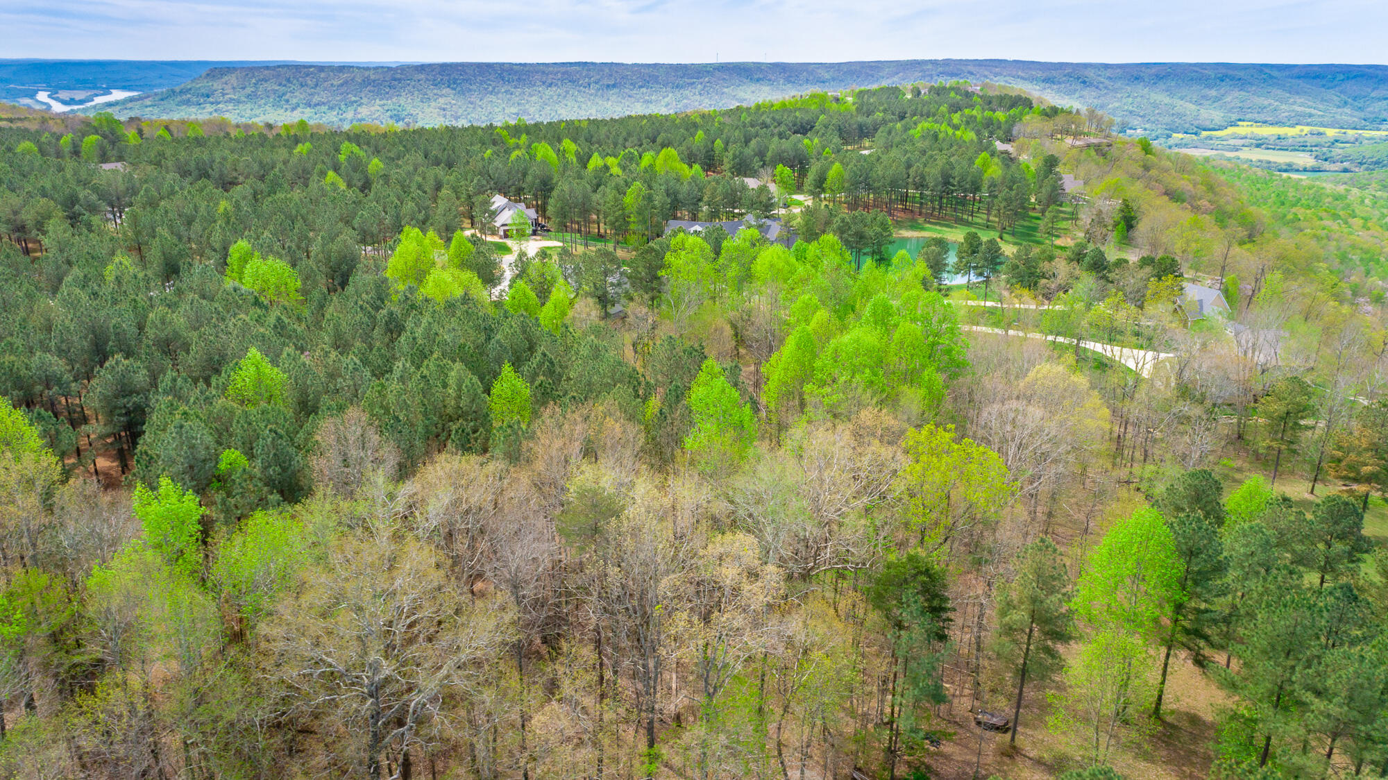 300 Deer Ridge Point, Unit SV190 Jasper, TN 37347 - Photo 38 of 70 300 Deer Ridge Pointe Lot JH190 HD-41