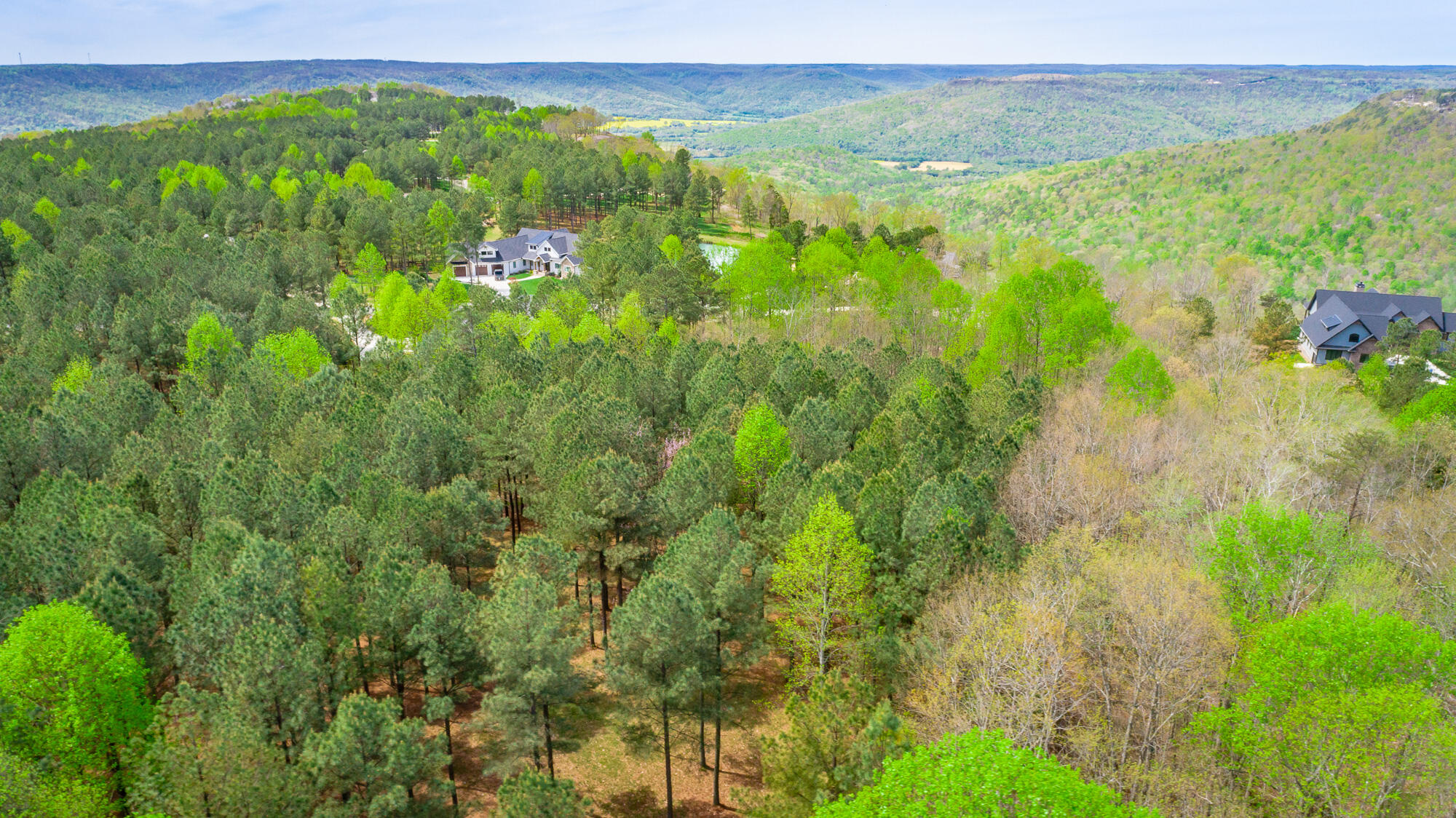 300 Deer Ridge Point, Unit SV190 Jasper, TN 37347 - Photo 39 of 70 300 Deer Ridge Pointe Lot JH190 HD-42