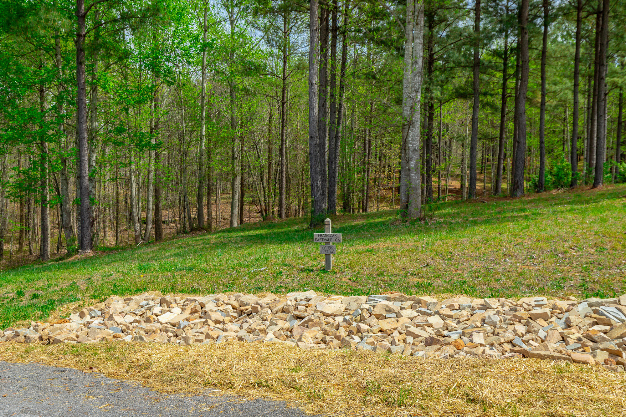 300 Deer Ridge Point, Unit SV190 Jasper, TN 37347 - Photo 4 of 70 300 Deer Ridge Pointe Lot JH190 HD-4