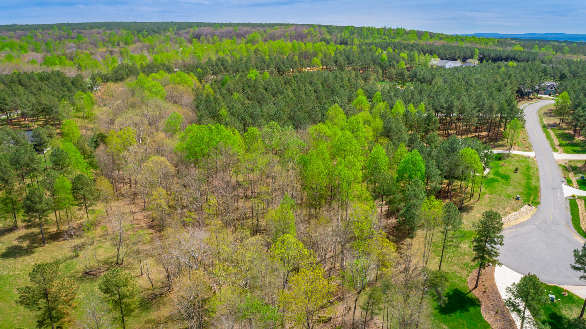 300 Deer Ridge Point, Unit SV190 Jasper, TN 37347 - Photo 46 of 70 300 Deer Ridge Pointe Lot JH190 HD-49