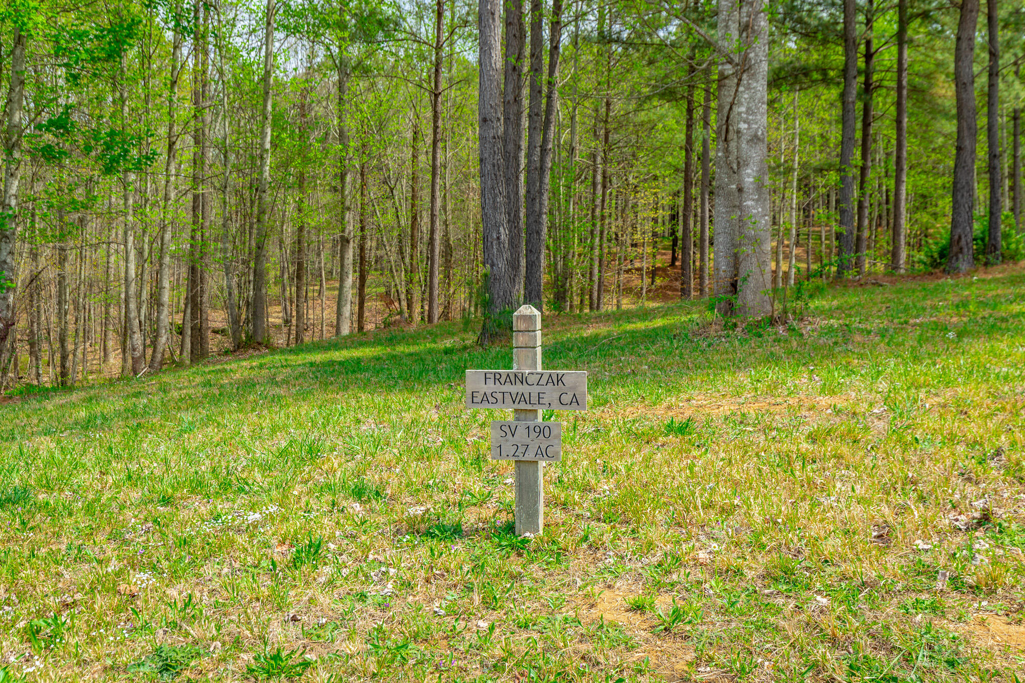 300 Deer Ridge Point, Unit SV190 Jasper, TN 37347 - Photo 5 of 70 300 Deer Ridge Pointe Lot JH190 HD-5