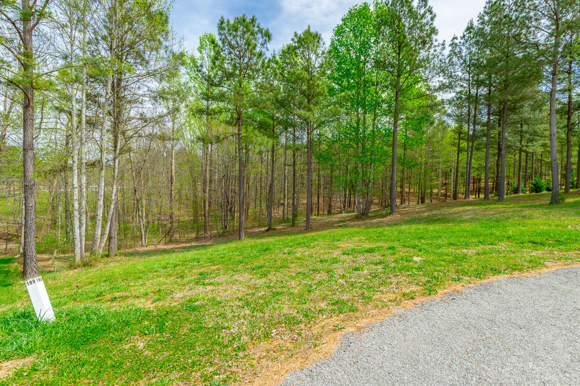 300 Deer Ridge Point, Unit SV190 Jasper, TN 37347 - Photo 7 of 70 300 Deer Ridge Pointe Lot JH190 HD-9