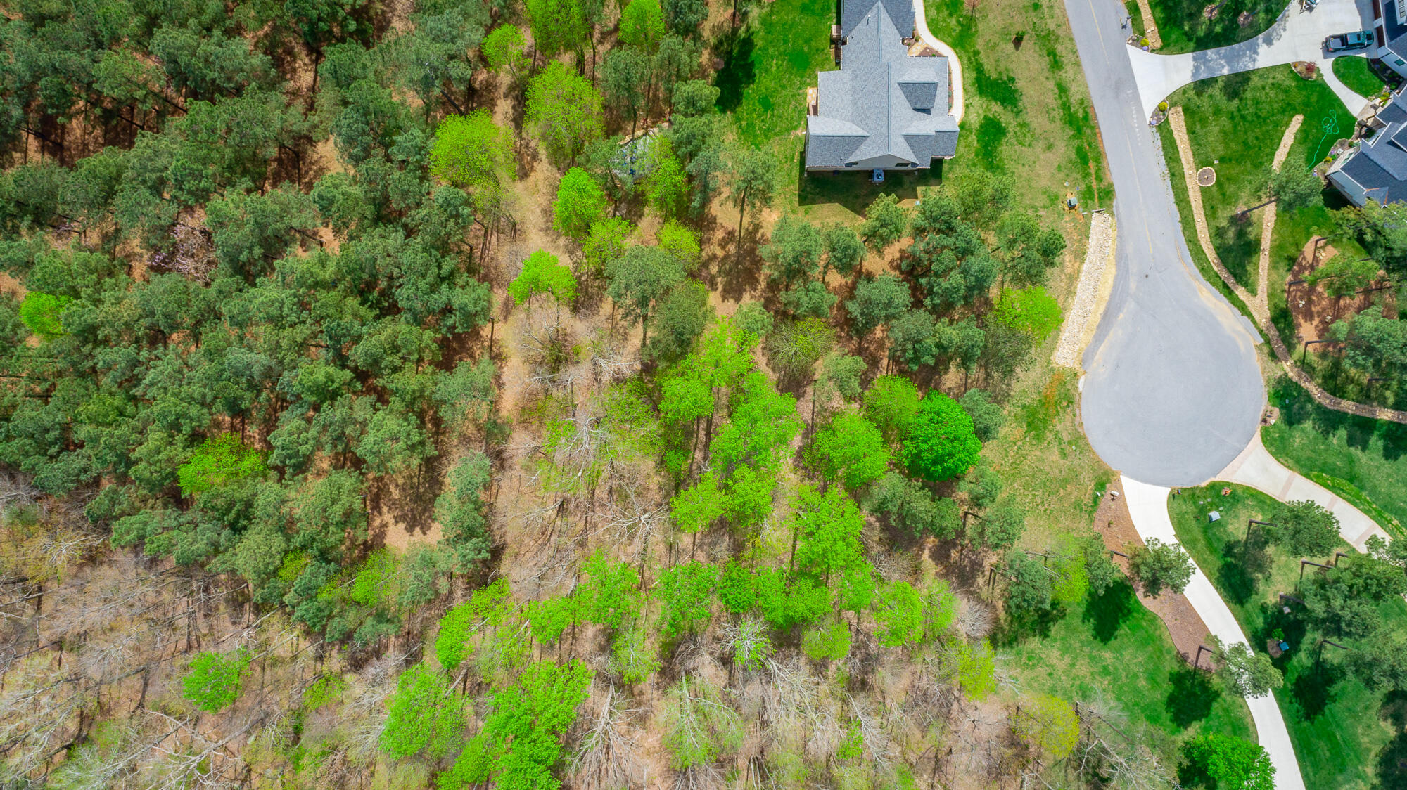 300 Deer Ridge Point, Unit SV190 Jasper, TN 37347 - Photo 9 of 70 300 Deer Ridge Pointe Lot JH190 HD-11