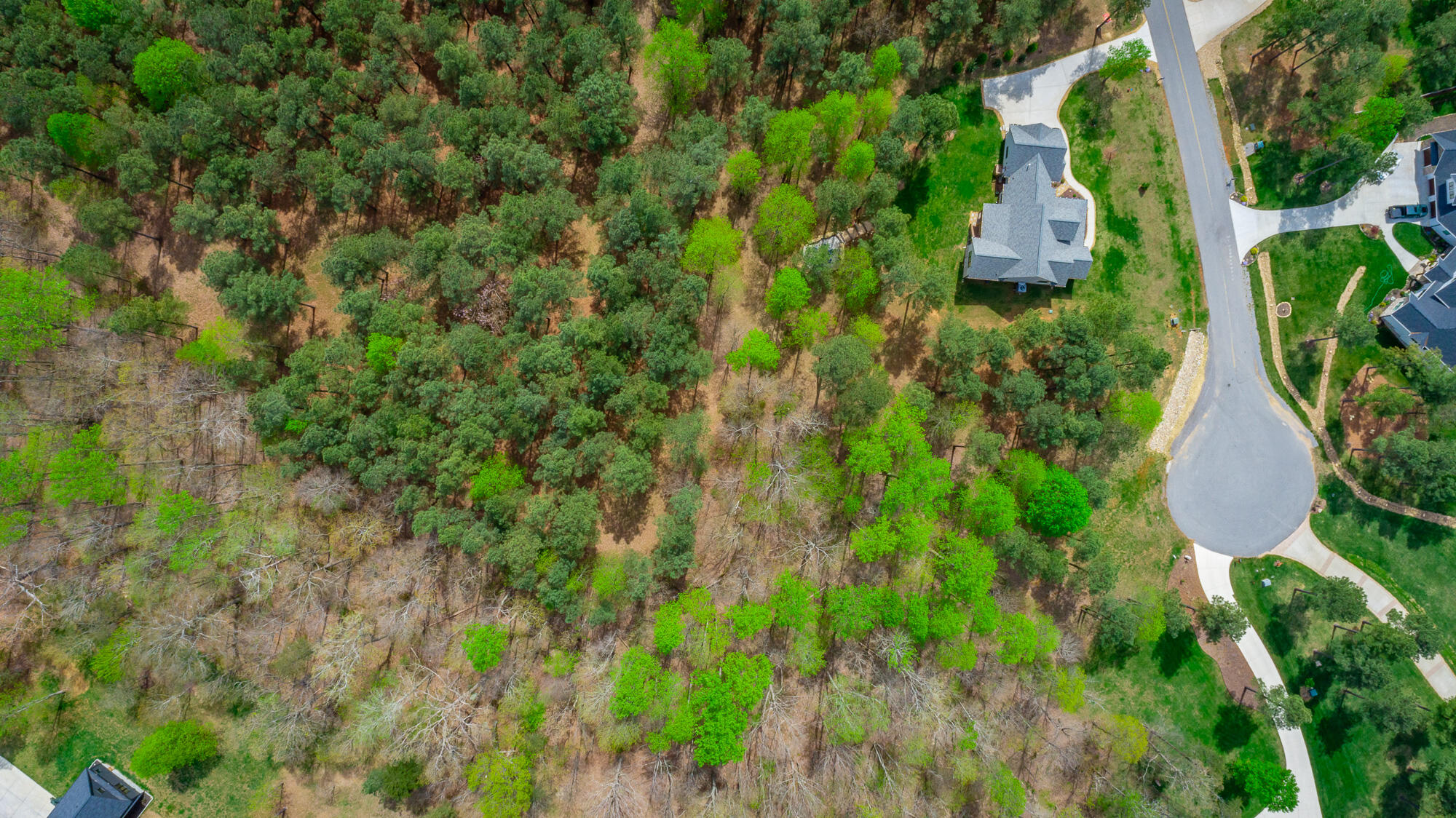 300 Deer Ridge Point, Unit SV190 Jasper, TN 37347 - Photo 10 of 70 300 Deer Ridge Pointe Lot JH190 HD-12