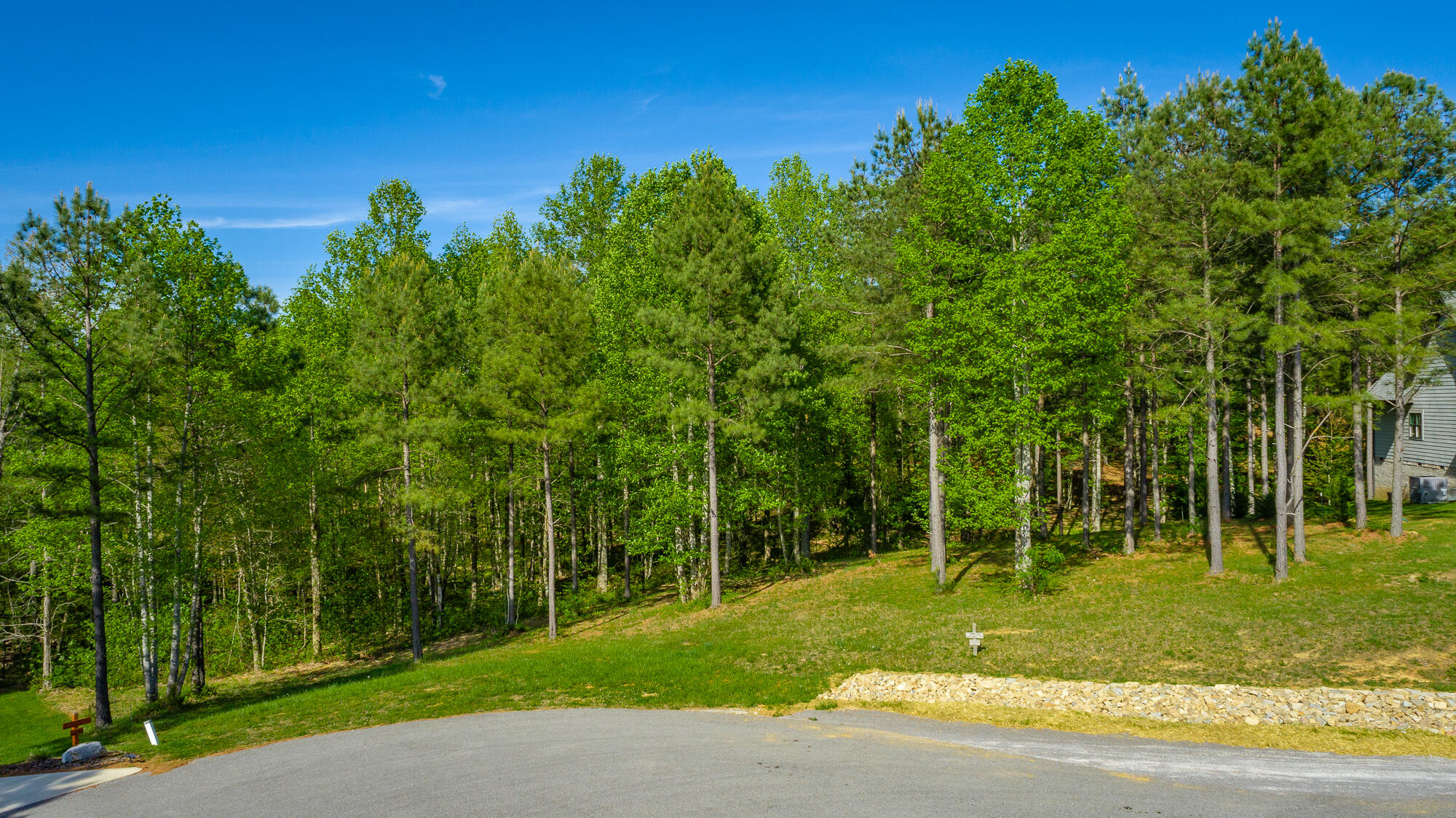 300 Deer Ridge Point, Unit SV190 Jasper, TN 37347 - Photo 10 of 85 300 Deer Ridge Point - JH190 HD-1
