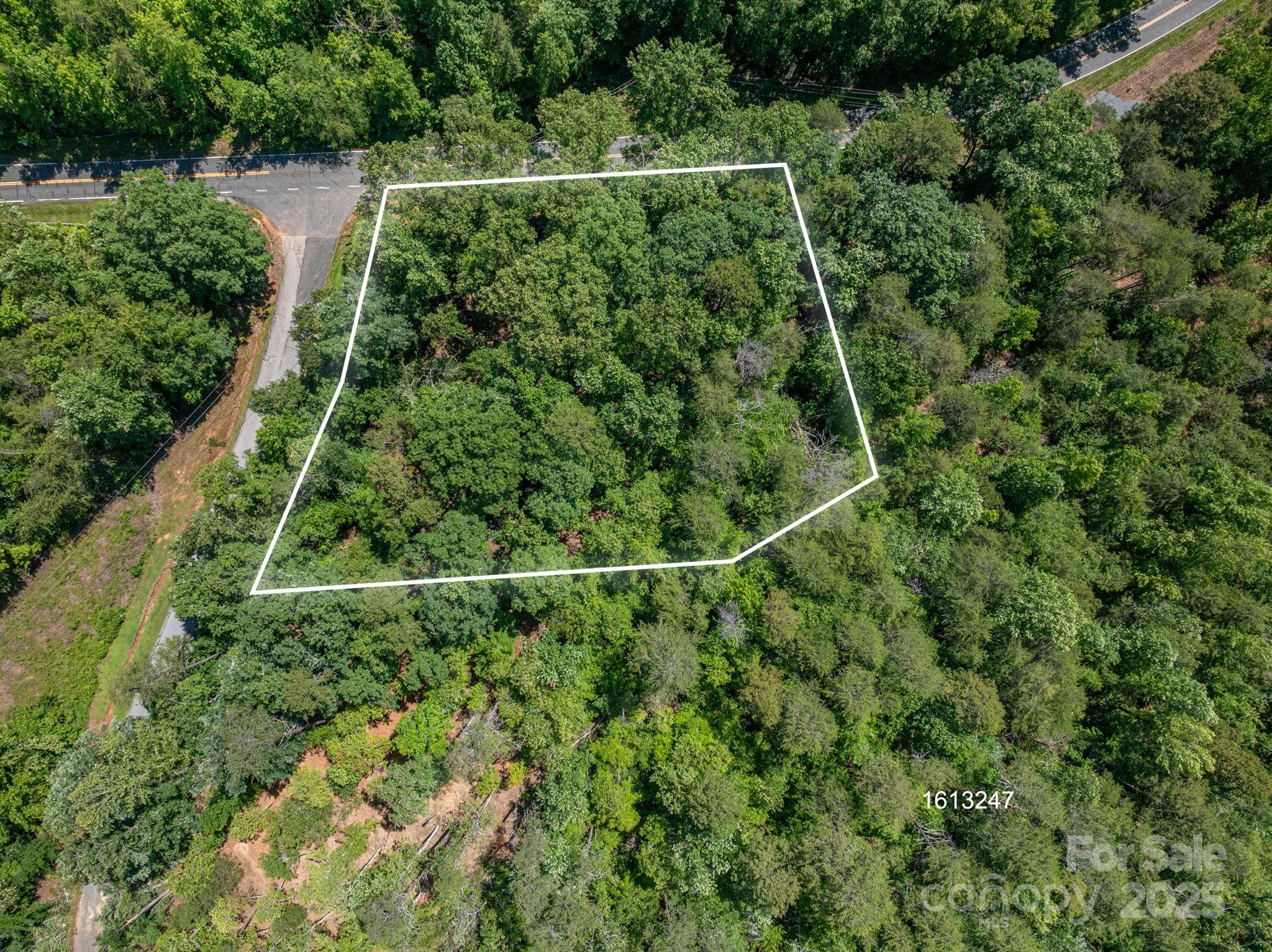 Lot #6 Cleghorn Mill Road Rutherfordton, NC 28139 - Photo 3 of 26