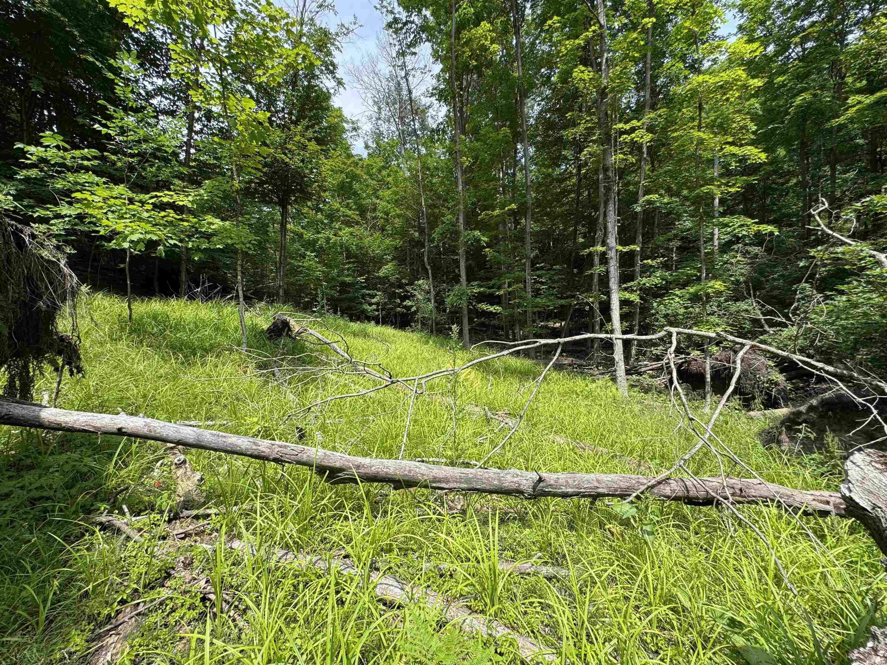Lot #5 East Bellinger Road, Unit BELLINGER ESTATES LOT: 5 Cedar, MI 49621 - Photo 6 of 20