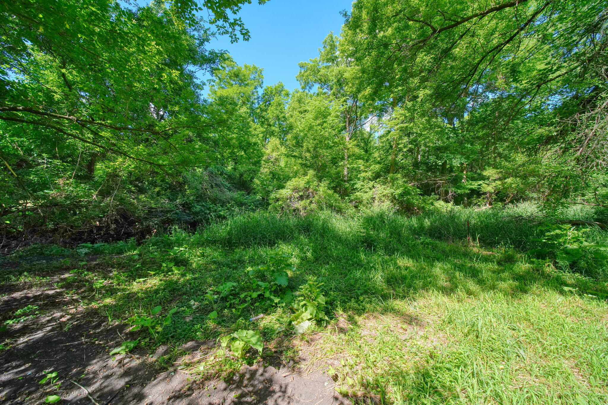 10500 Moscow Road Jonesville, MI 49250 - Photo 54 of 57 85-web-or-mls-DSC06115_HDR
