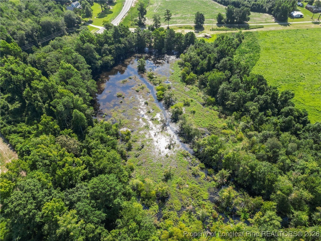 0 Everett Road Parkton, NC 28371 - Photo 20 of 29