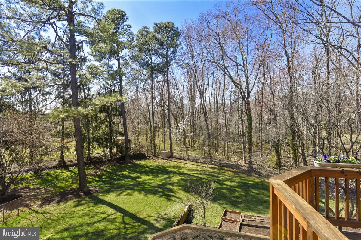 1944 Foxhall Road McLean, VA 22101 - Photo 3 of 39 Gorgeous back yard backing to woods