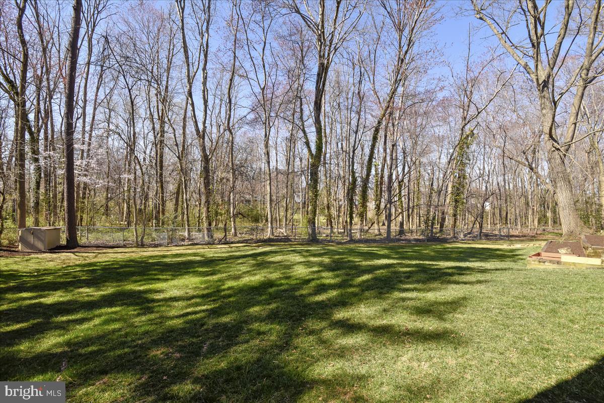 1944 Foxhall Road McLean, VA 22101 - Photo 4 of 39 Back yard backing to trees and Pimmit Run