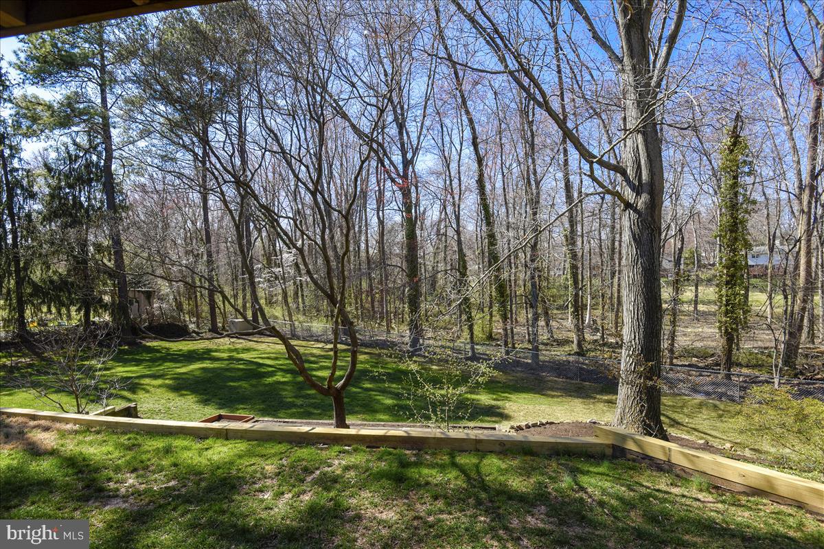 1944 Foxhall Road McLean, VA 22101 - Photo 35 of 39 Back yard