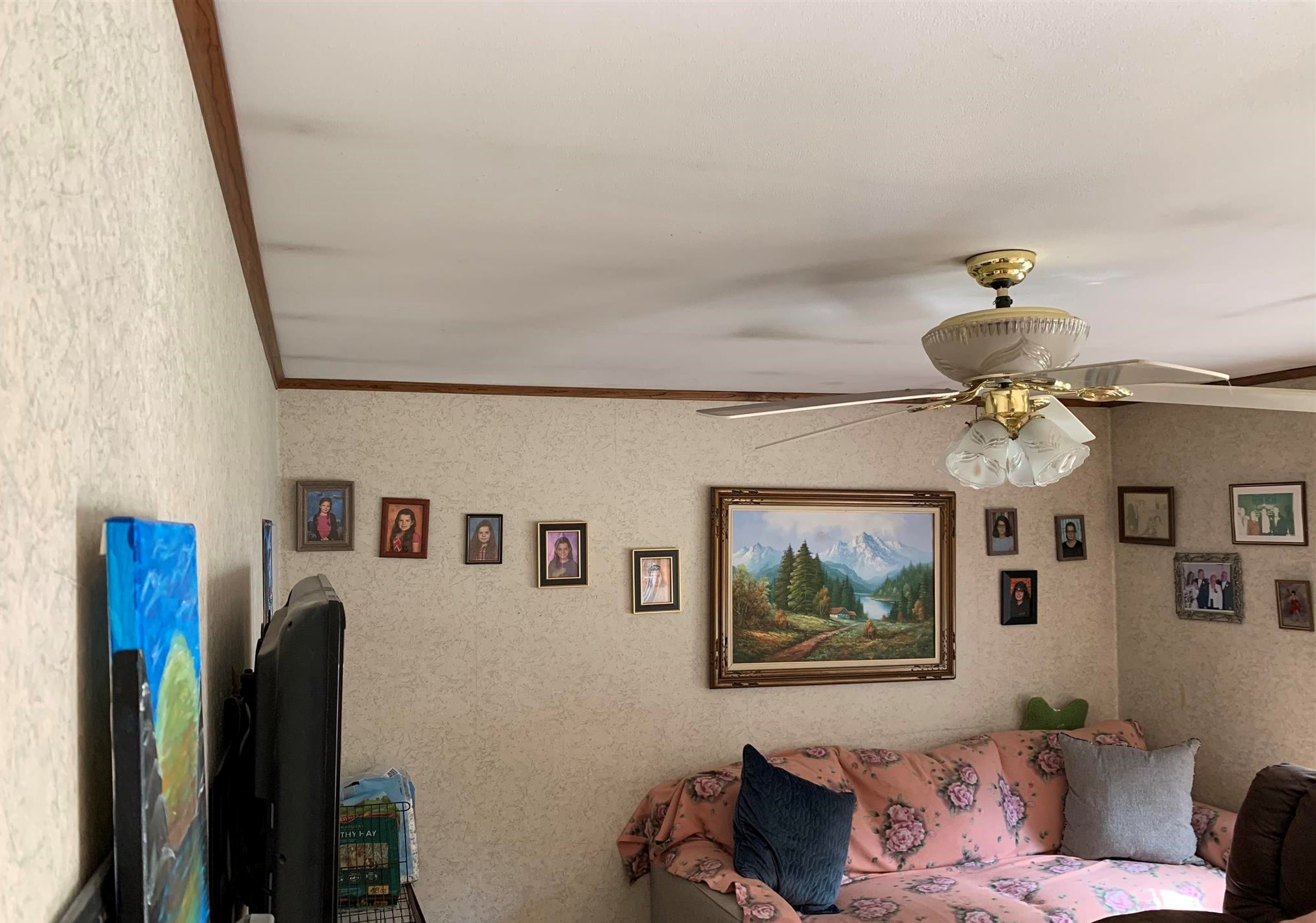 68 Sam Plummer Road Milton, NH 03851 - Photo 5 of 17 Gallery Image 5