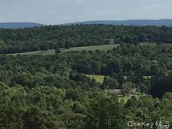 $549,000 | Greeley Road Rte 27, Craryville, NY 12521