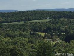 Greeley Road Rte 27 Craryville, NY 12521 - Photo 1 of 8 a view of a forest with a street