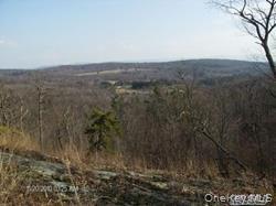 Greeley Road Rte 27 Craryville, NY 12521 - Photo 2 of 8