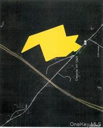 Greeley Road Rte 27 Craryville, NY 12521 - Photo 4 of 8 a view of swimming pool