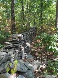 Greeley Road Rte 27 Craryville, NY 12521 - Photo 6 of 8 a view of a forest with lots of trees