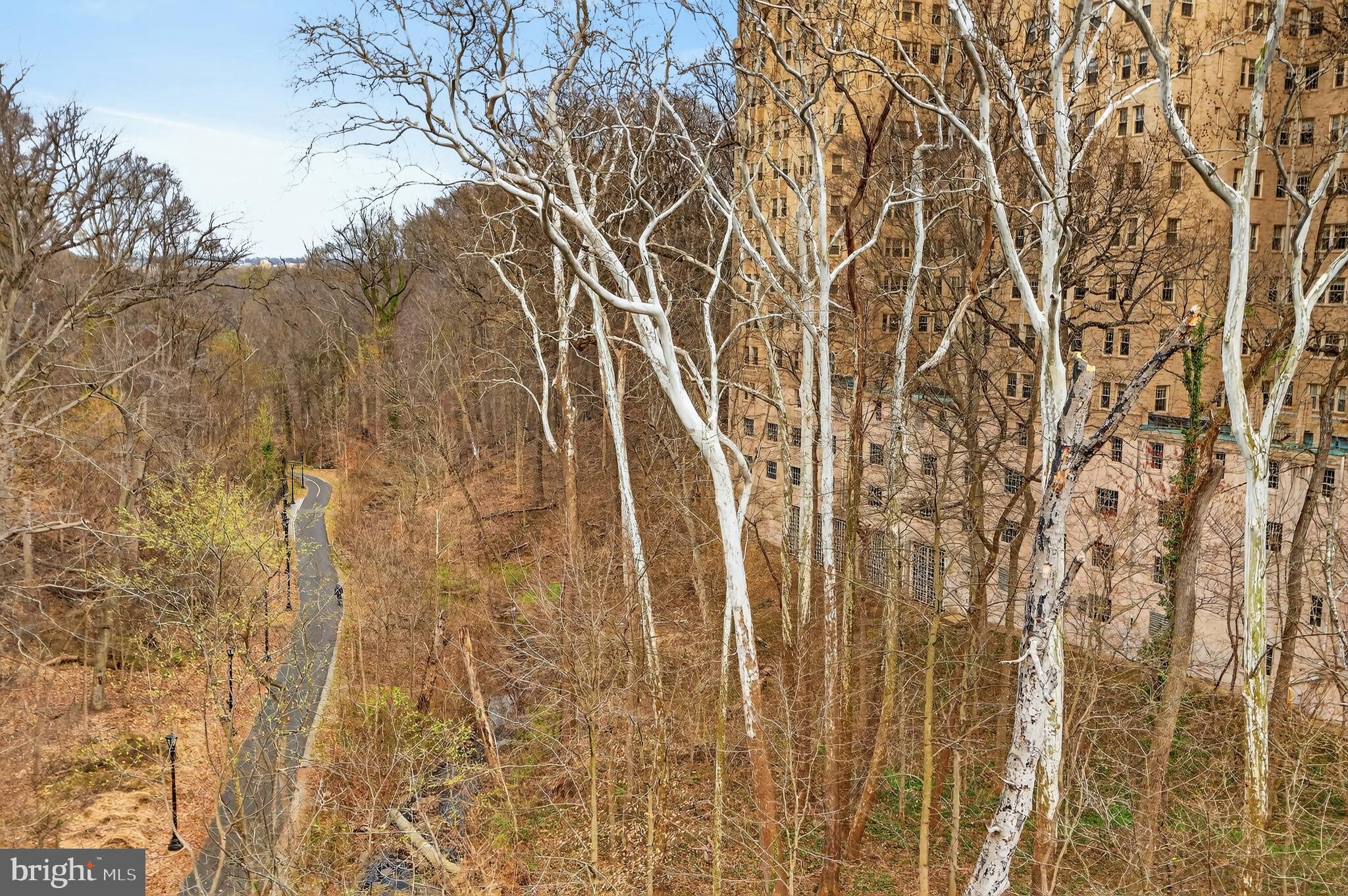 3022 Porter Street Northwest, Unit 102 Washington, DC 20008 - Photo 26 of 30