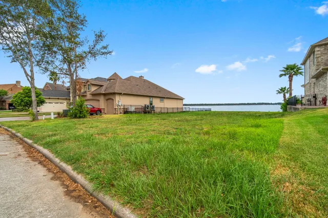 a view of a large garden with plants and large trees