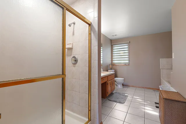 a bathroom with a shower and a toilet