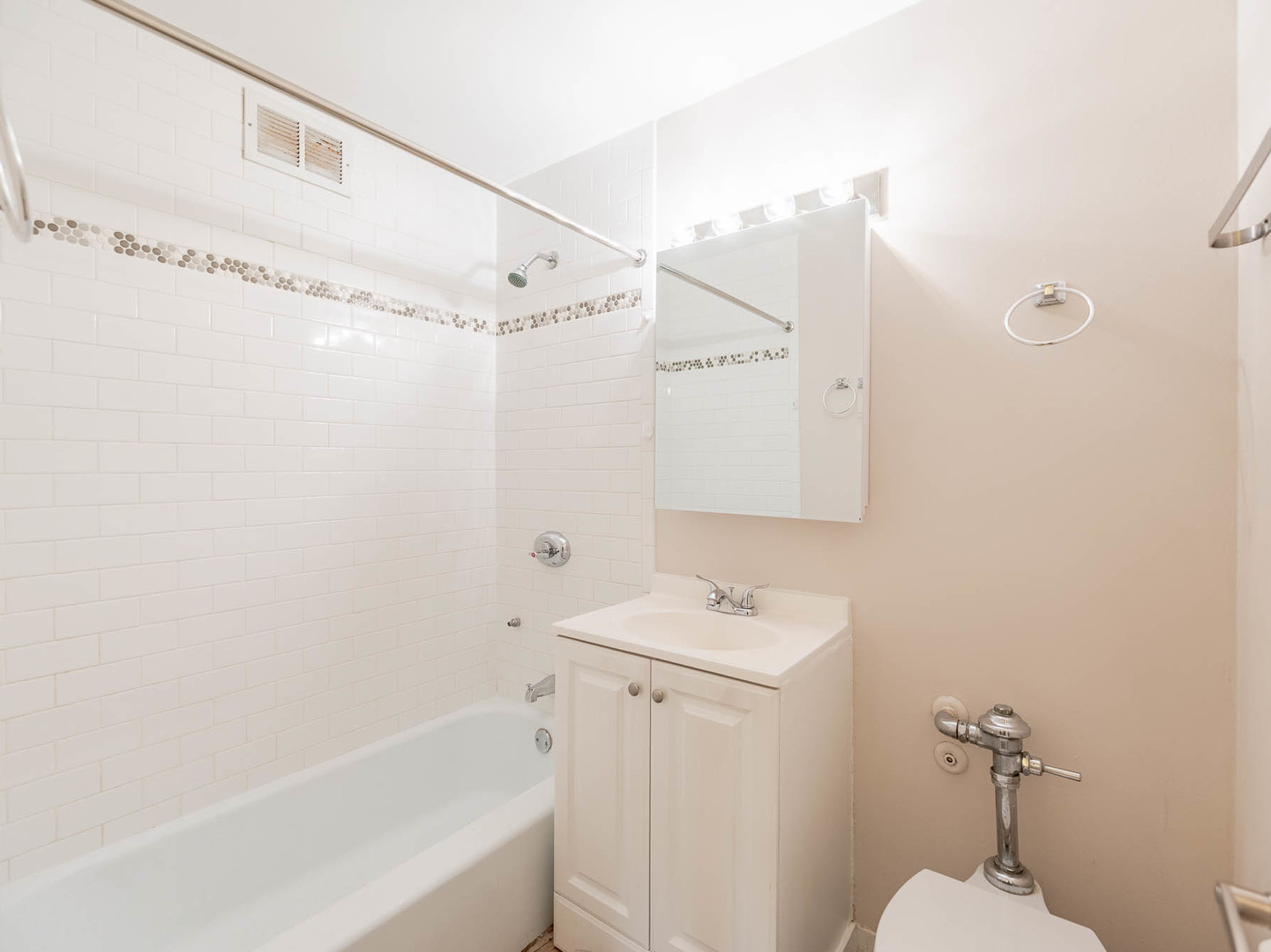 1401 East 55th Street, Unit 211N Chicago, IL 60615 - Photo 7 of 7 a bathroom with a bathtub a shower and a sink