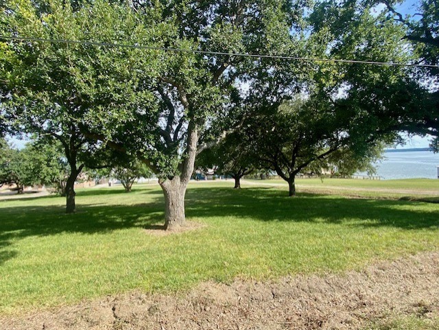 Tbd Clearview Street Point Blank, TX 77364 - Photo 7 of 9 a view of a yard with a tree