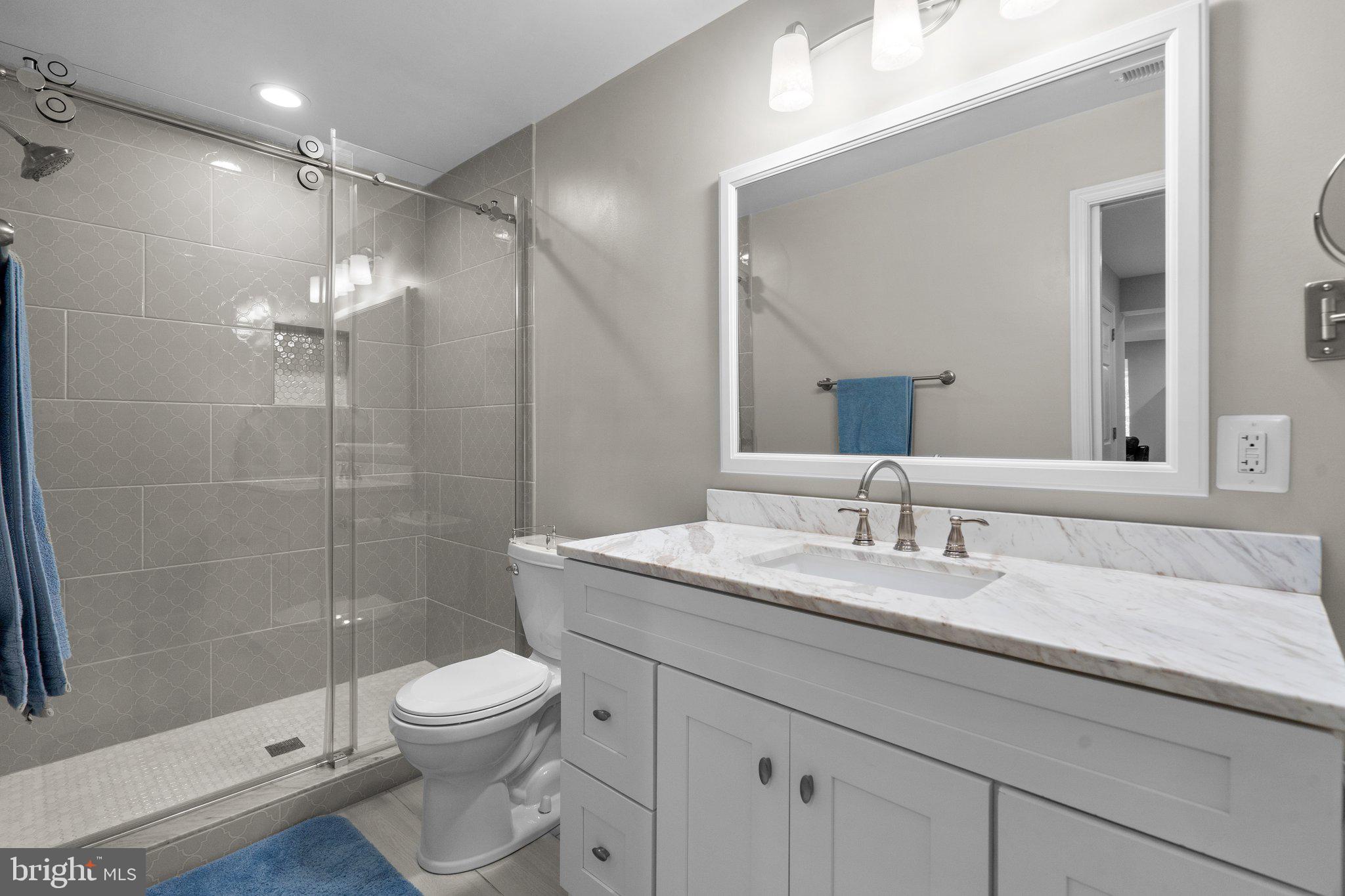 14334 Ashleigh Greene Road Boyds, MD 20841 - Photo 59 of 63 Lower-Level Full Bathroom