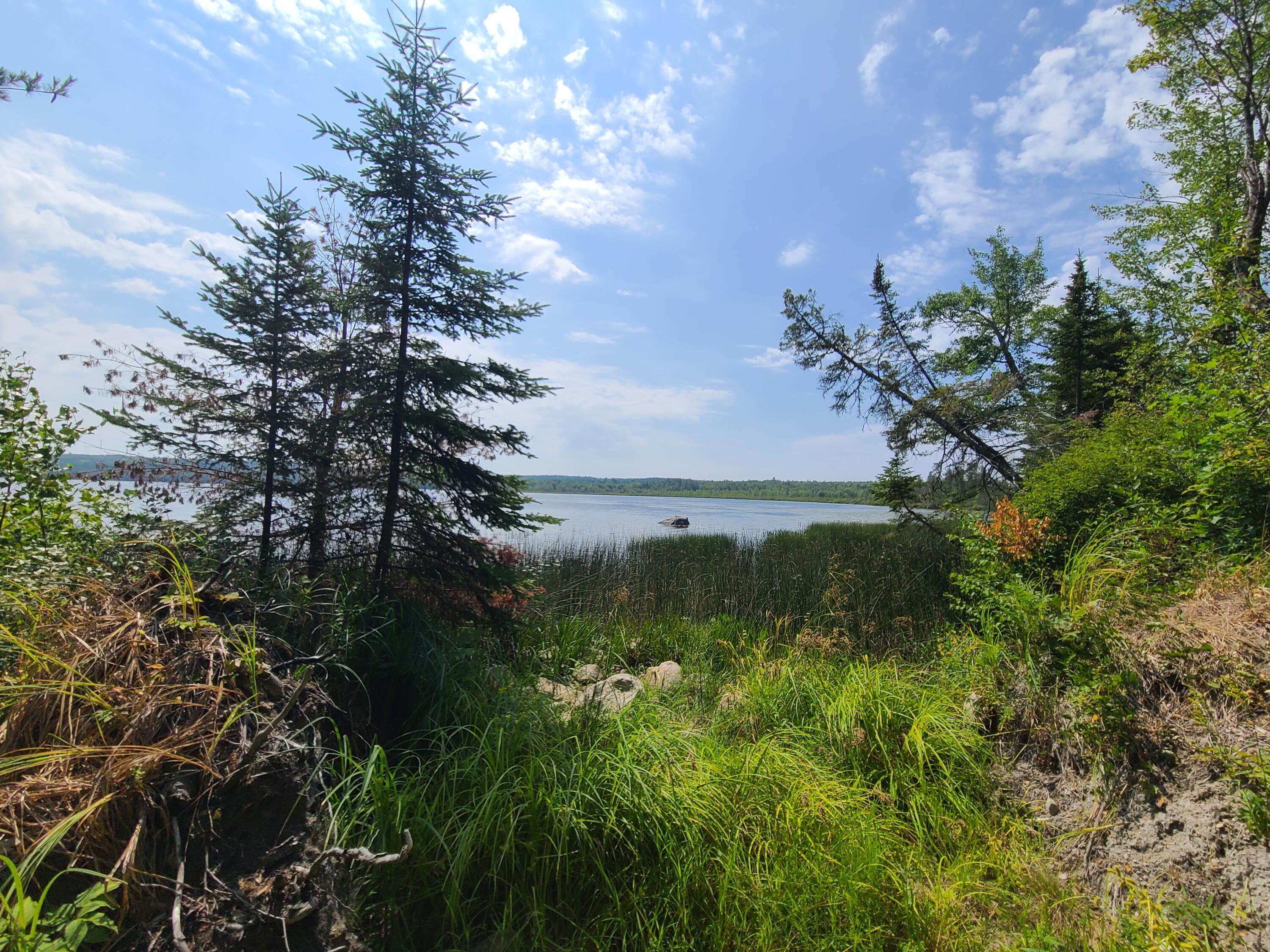 1235 Ayers Junction Road Charlotte, ME 04666 - Photo 8 of 35 20250813_113933