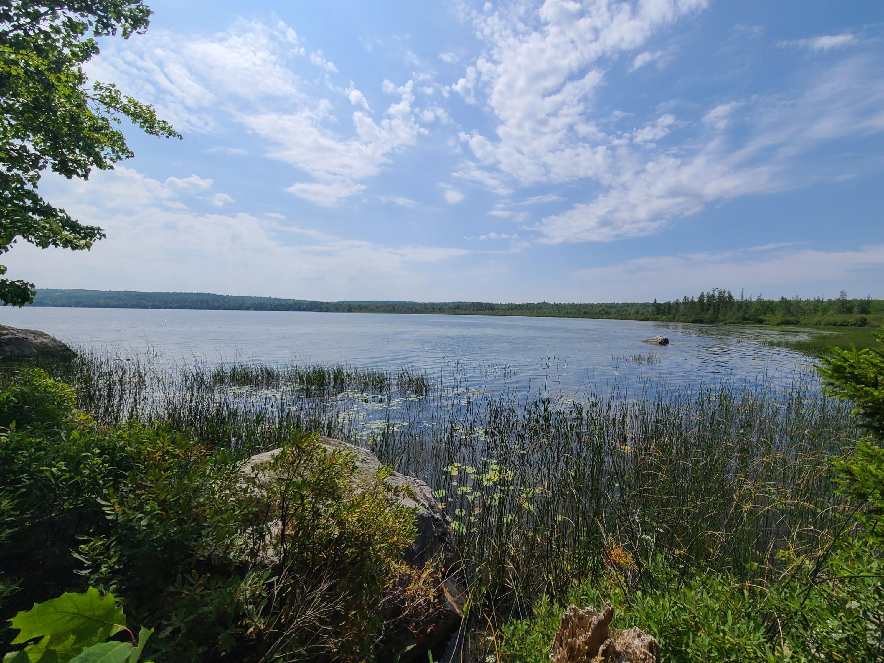 1235 Ayers Junction Road Charlotte, ME 04666 - Photo 9 of 35 20250813_113004