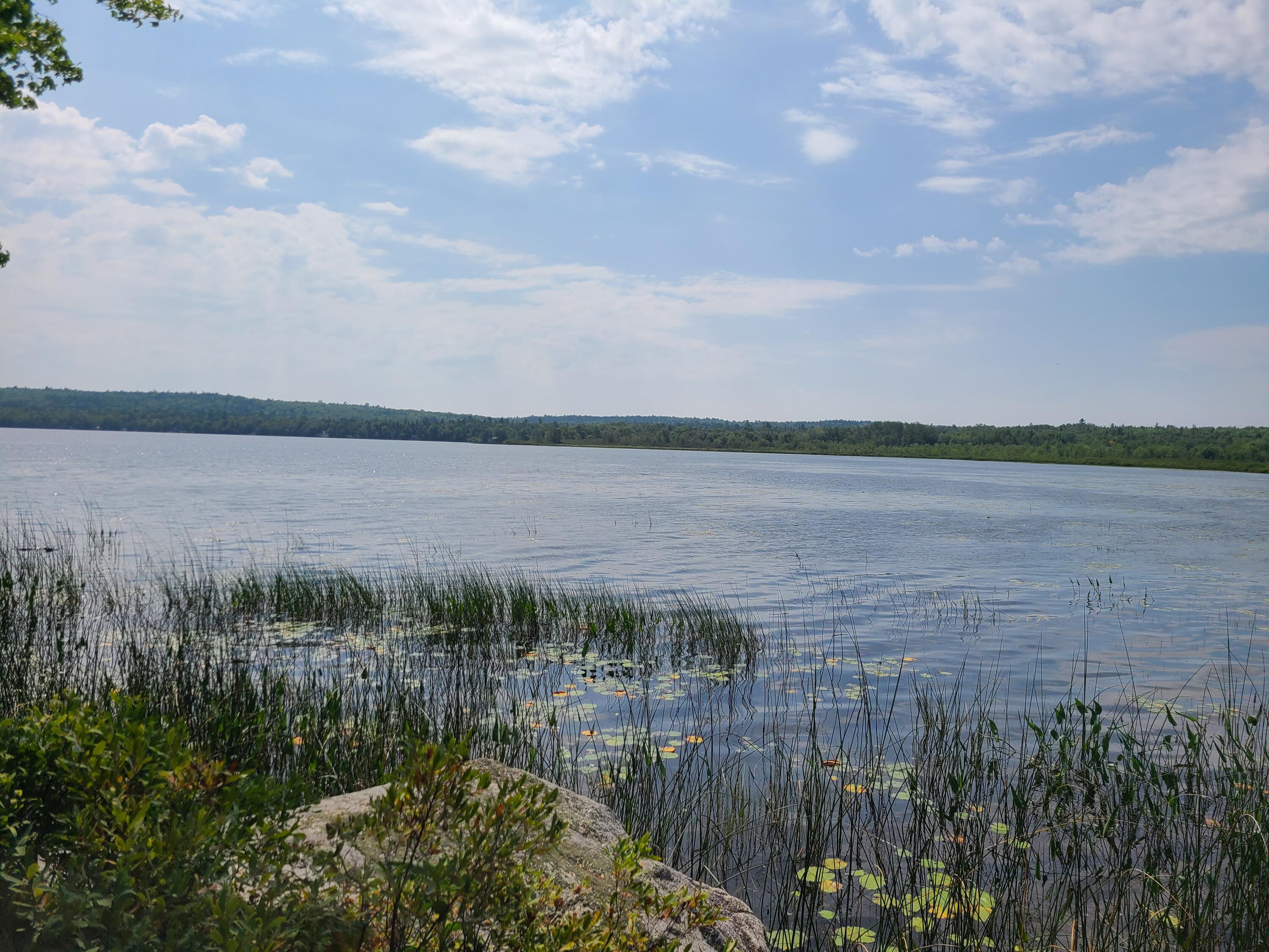 1235 Ayers Junction Road Charlotte, ME 04666 - Photo 10 of 35 20250813_112959