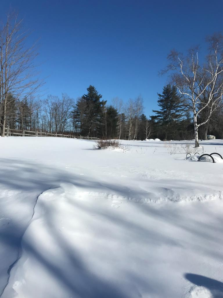 314 Ryan Road Saranac, NY 12981 - Photo 20 of 20 Gallery Image 20
