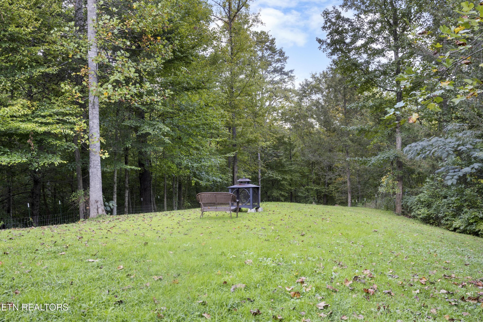 1755 A R Davis Road Seymour, TN 37865 - Photo 27 of 31 Gallery Image 27