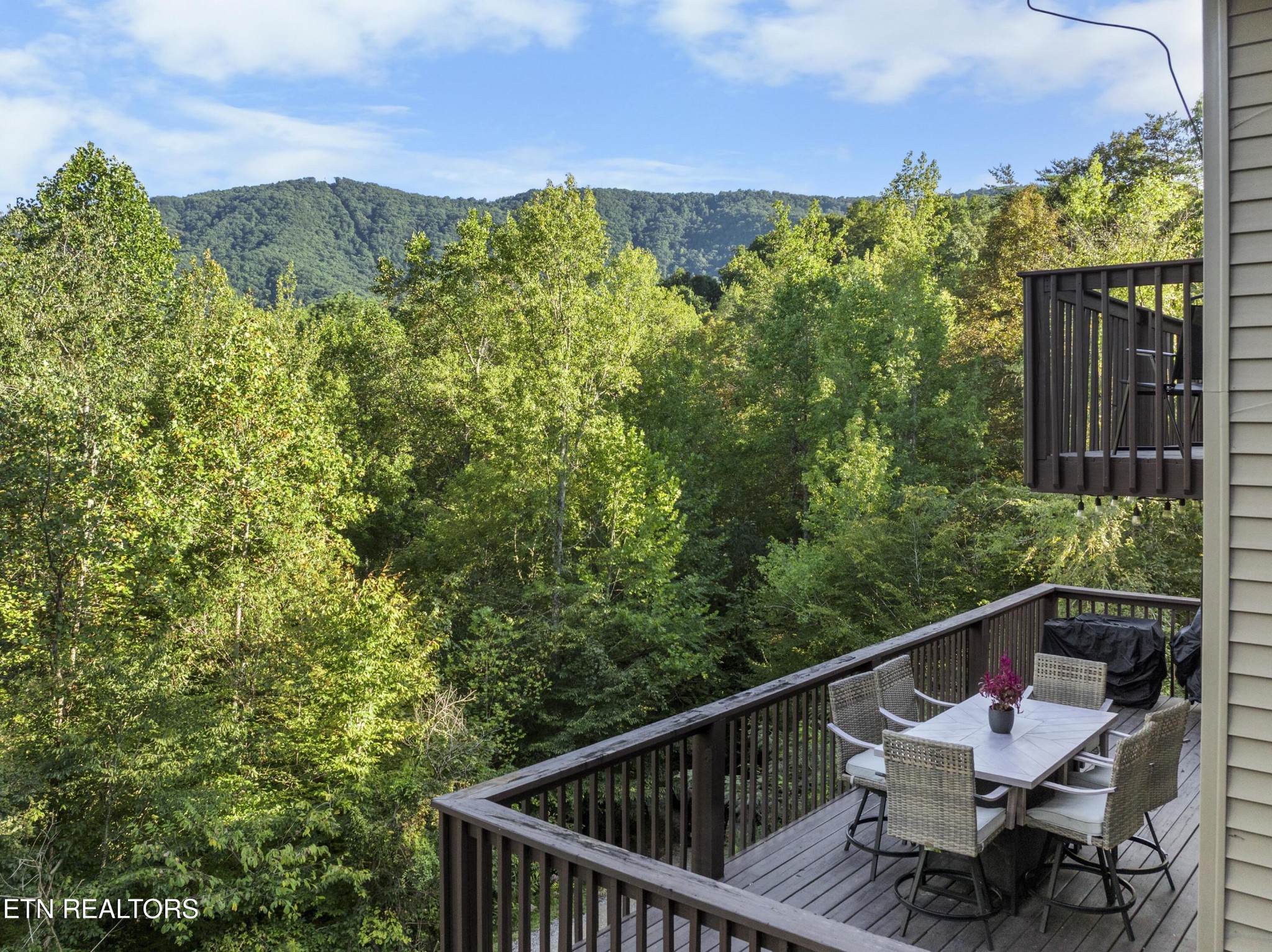 1755 A R Davis Road Seymour, TN 37865 - Photo 8 of 31 Gallery Image 8
