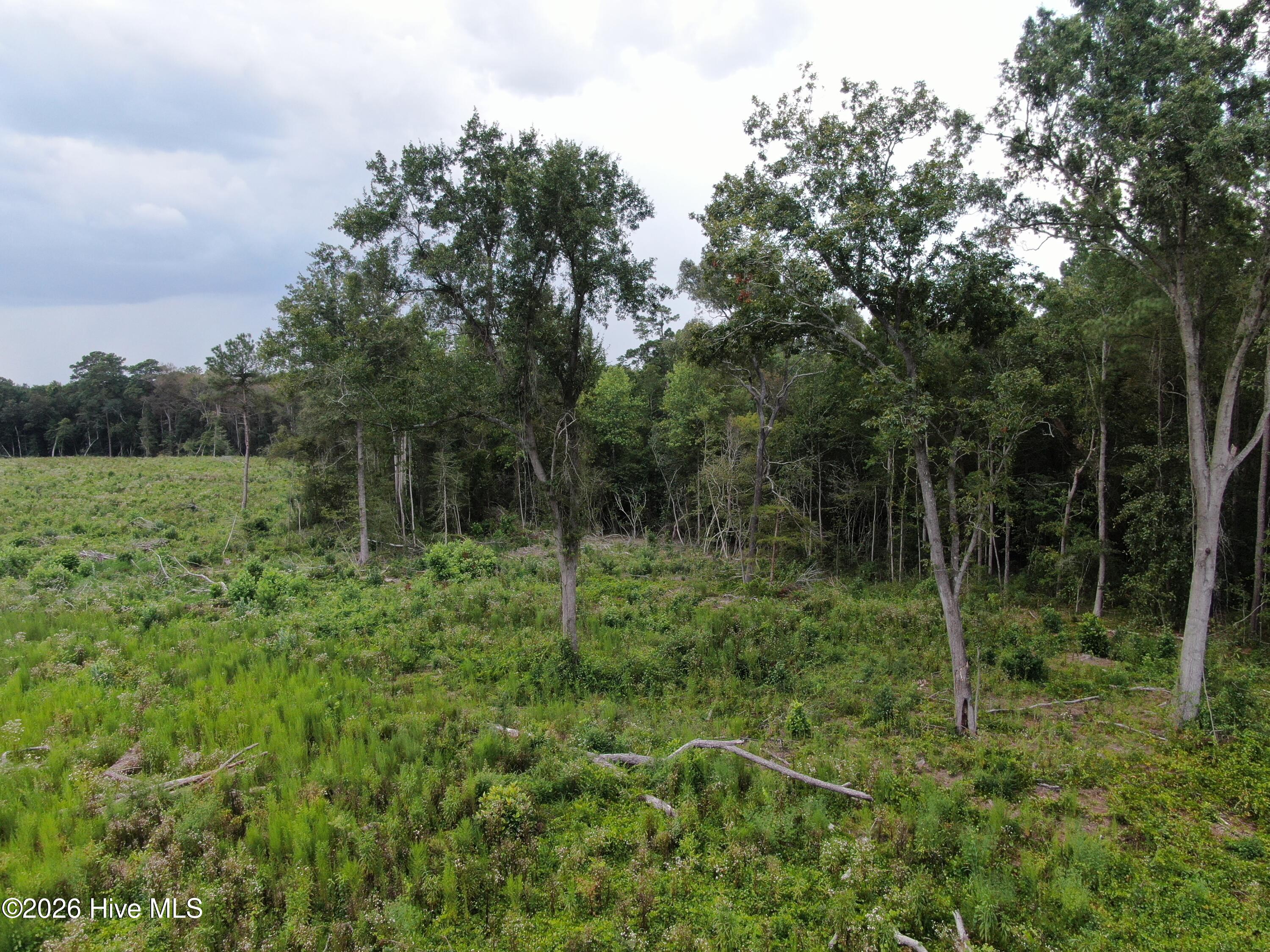 Tbd Johns Mill Road Maxton, NC 28364 - Photo 23 of 28 Gallery Image 23
