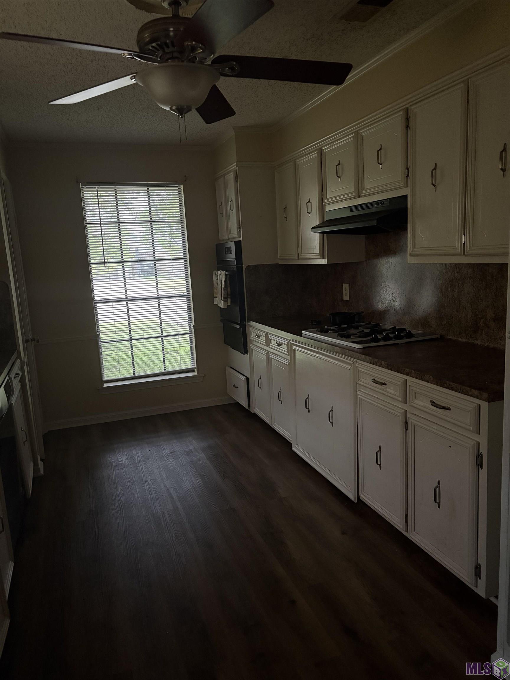3925 Sarasota Drive Baton Rouge, LA 70814 - Photo 3 of 6 Kitchen