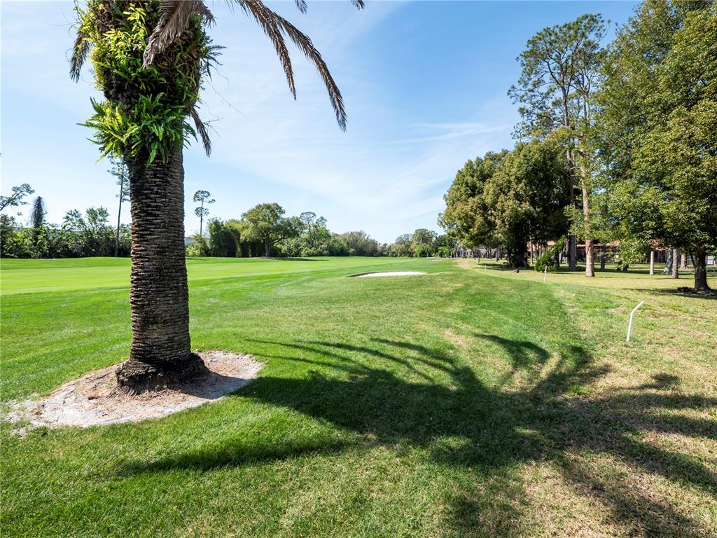 6790 Edgeworth Drive Orlando, FL 32819 - Photo 50 of 57 a view of a garden with a tree