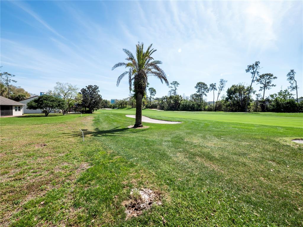 6790 Edgeworth Drive Orlando, FL 32819 - Photo 52 of 57 a view of a field with a palm trees