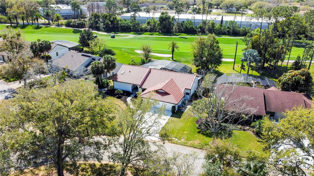 6790 Edgeworth Drive Orlando, FL 32819 - Photo 53 of 57 a view of a garden with plants and large trees