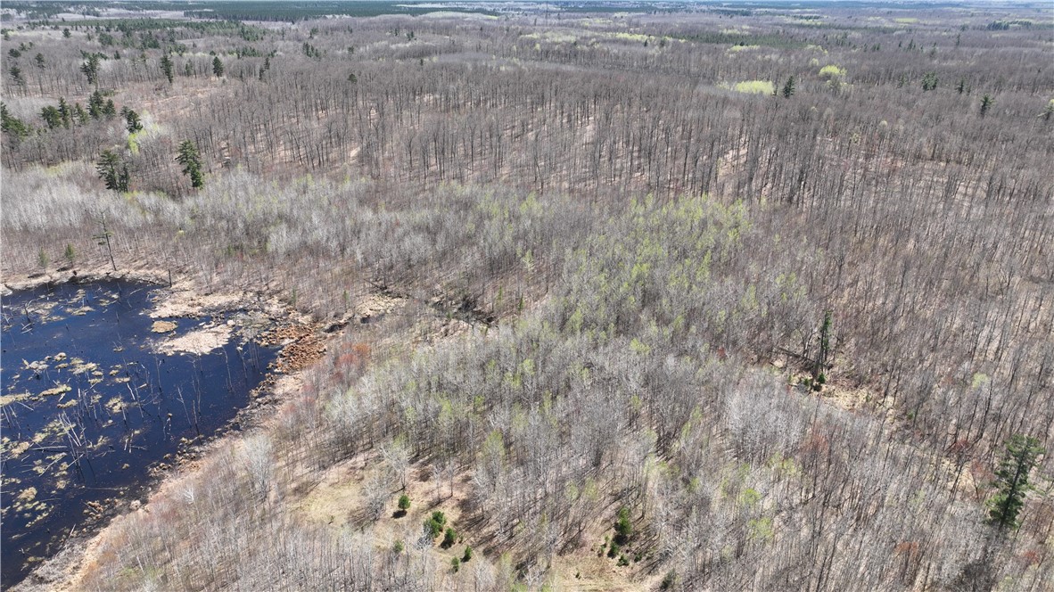 Xx East Beauregard Lake Road Solon Springs, WI 54873 - Photo 19 of 37