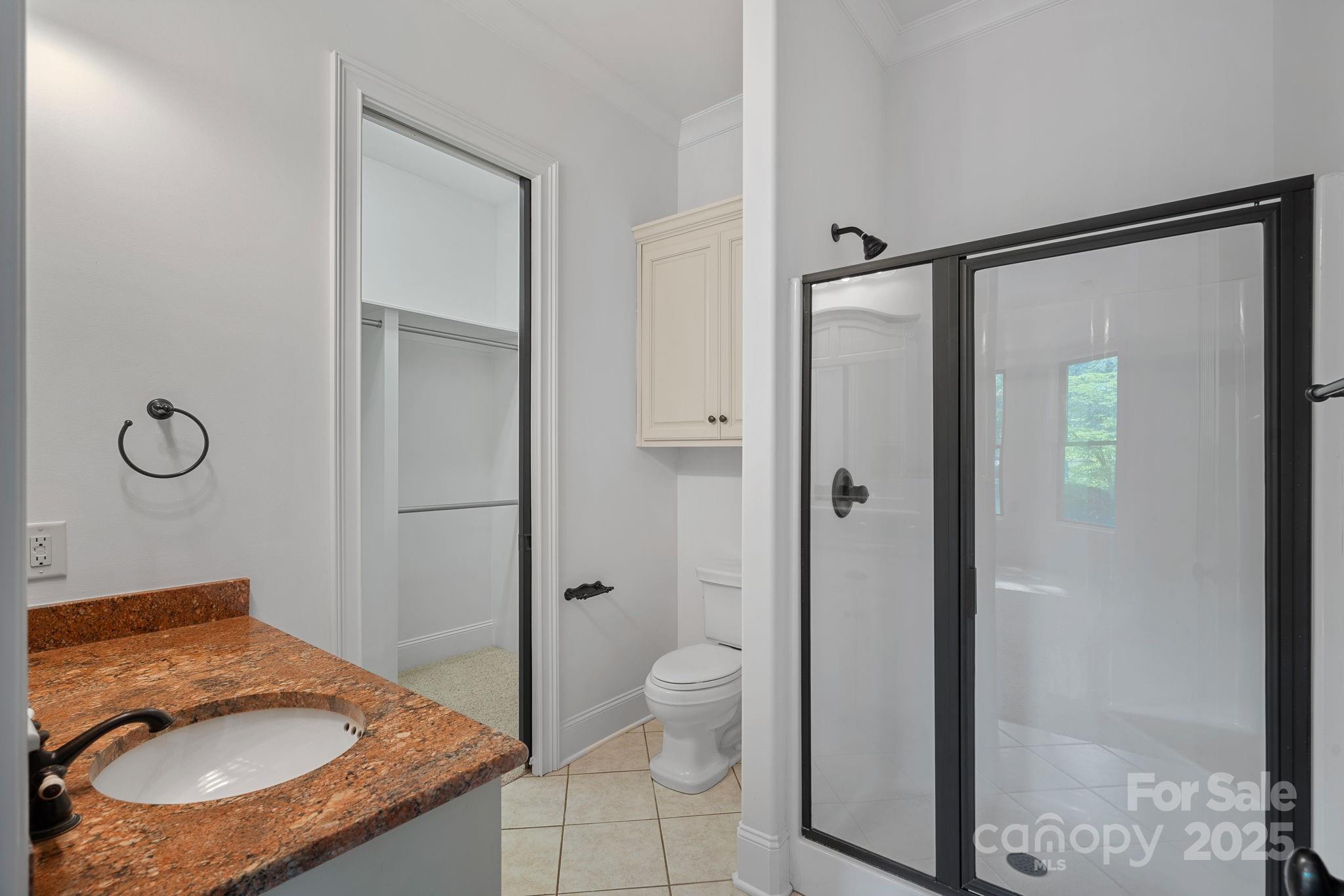 4786 Heather Lane Denver, NC 28037 - Photo 34 of 48 a bathroom with a granite countertop sink a mirror and a toilet