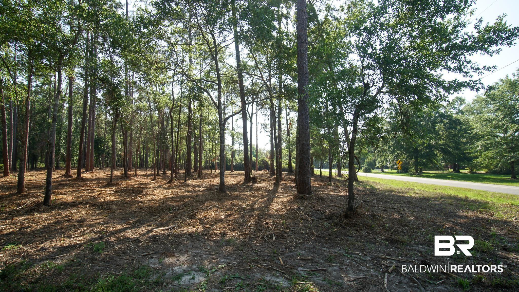 0 Antietam Road Lillian, AL 36549 - Photo 30 of 32