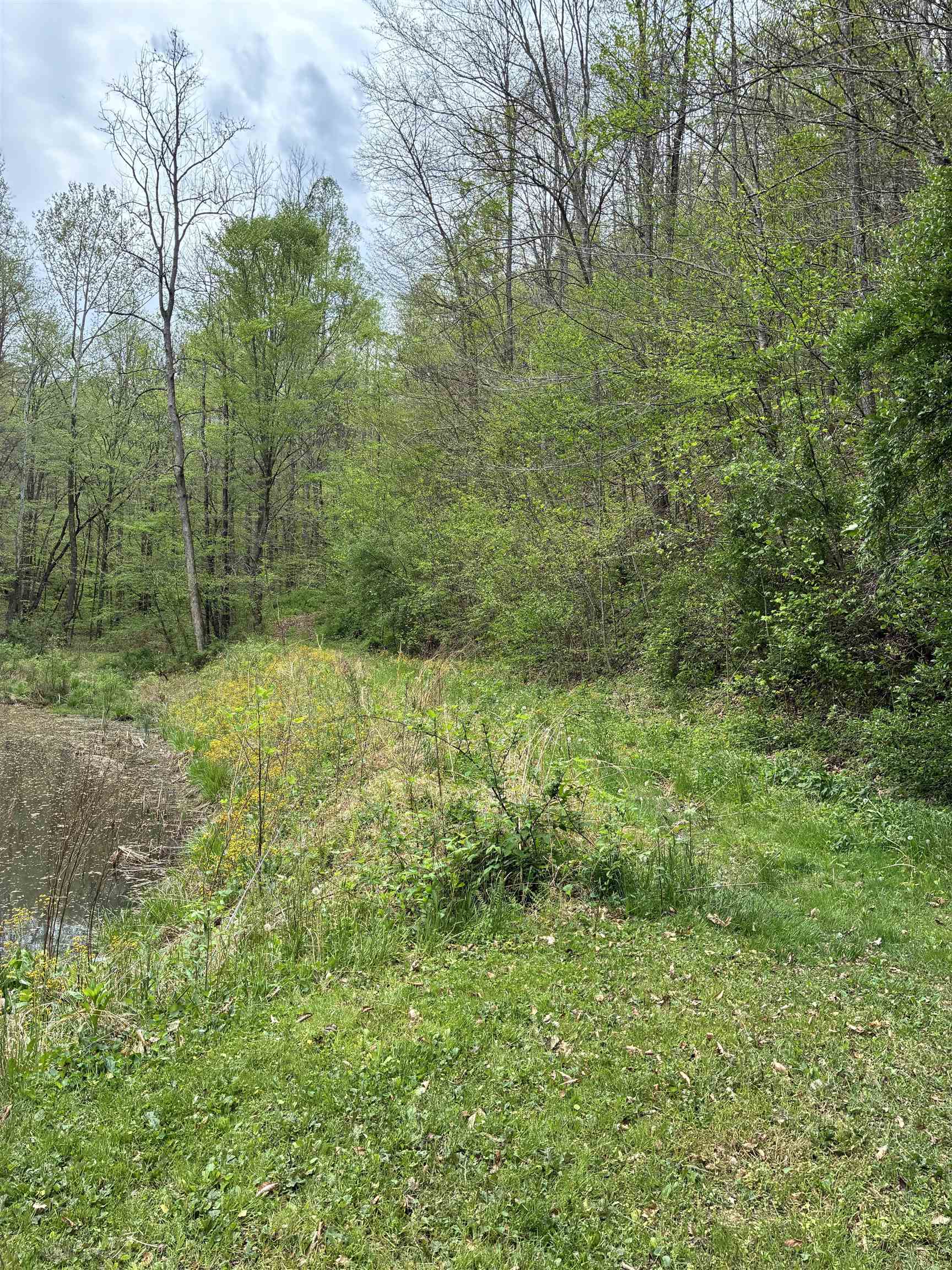 Donithan Rd Road Louisa, KY 41230 - Photo 5 of 7